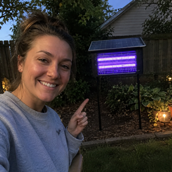 BugZapp solar-powered outdoor mosquito zapper with automatic dusk-to-dawn sensor and high-voltage grid for chemical-free insect control in patios, gardens, and backyards